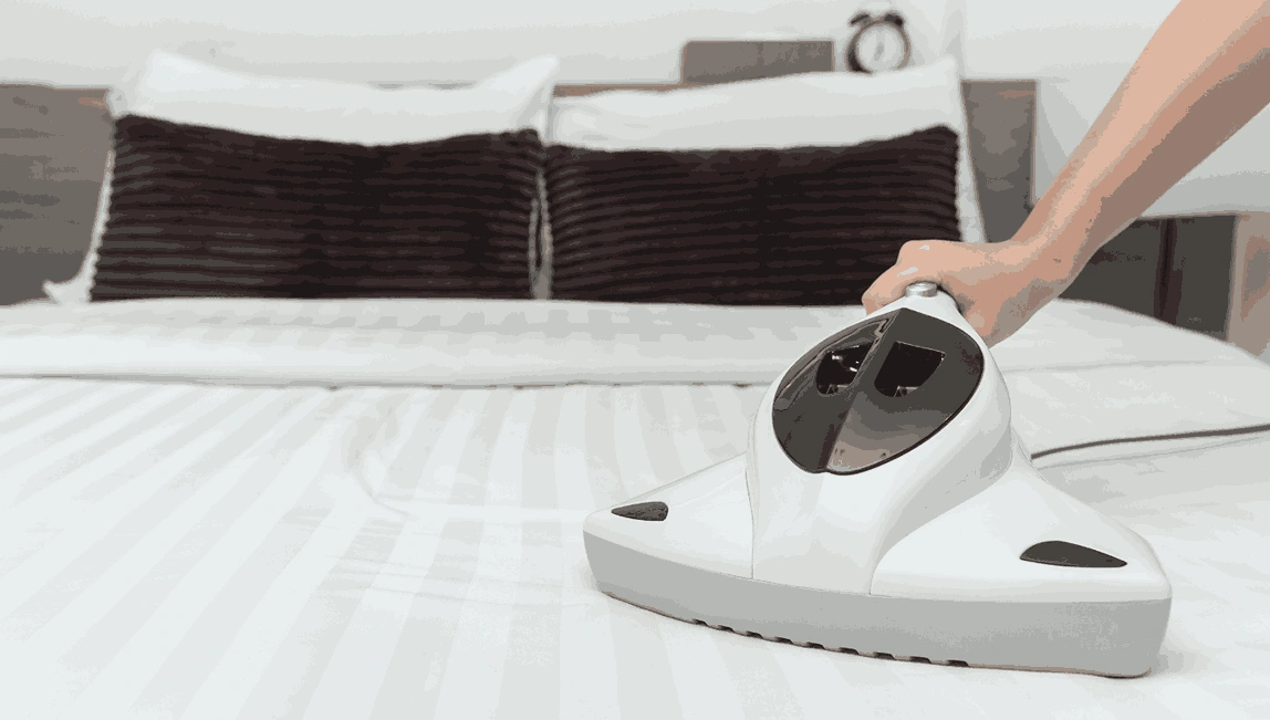 Professional Mattress Cleaning Springbank